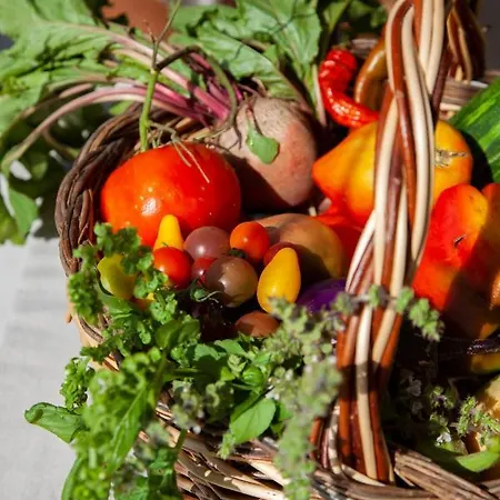 Kalliste - Eco Label Porto Pollo