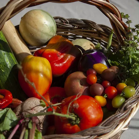 Kalliste - Eco Label Порто-Полло