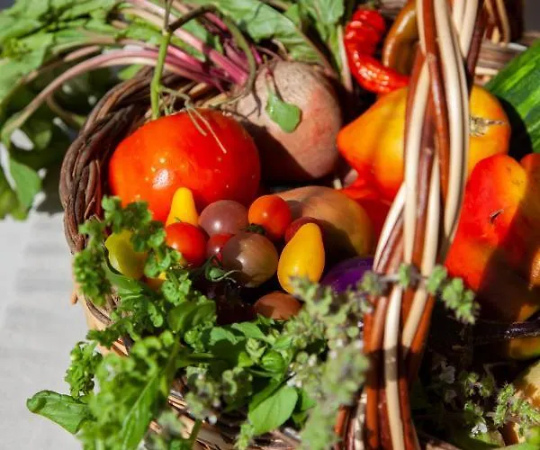 Kalliste - Eco Label ポルト・ポロ