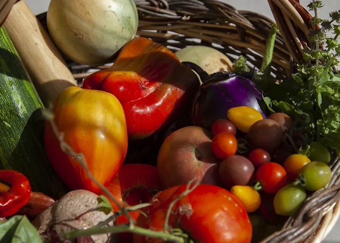 Kallisté - Eco Label Porto-Pollo